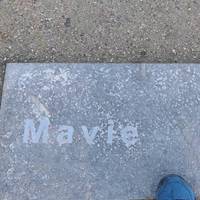 Dotted around the path are granite slabs engraved with Scots names for birds. Can you match them up with any birds you see?