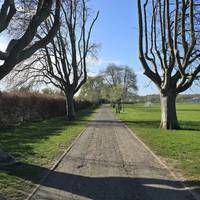 There are some dips and bumps in the concrete path but the wide path allows these to be avoided fairly easily.