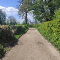 Continue straight ahead following the Bridleway as it bends to the left.