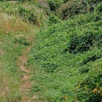 Continue along the path