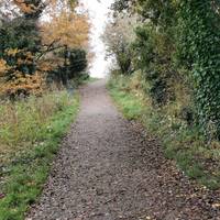 The path rises between ivy-clad trees. Watch out for lumpy bricks  in the path surface.