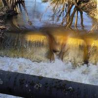 A lot of water in the river due to all that winter rain.