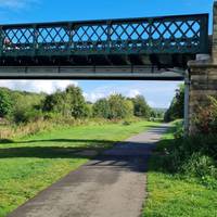 Walk under the Ovingham Bridge and continue to follow the footpath. This is shared with cyclists and horse riders.