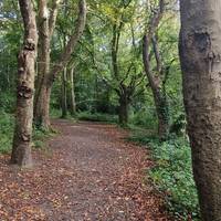 Take the left hand path at the first junction and continue along the main trail.