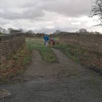 Follow the lane, go under the railway bridge. Carry on along the footpath, heading towards the woods.