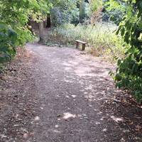 Go straight over the cross roads path, heading for the bench