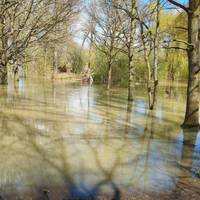 06/10/24 This route is currently impassable at Step 21 because of flooding. Why not try the CV Heyfords Walk instead, also in app.