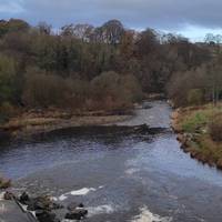 Nice view from the bridge. The weir has a built-in salmon ladder to allow the fish to pass upstream to spawn