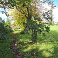 After turning right at tree head forwards onto path and keep walking for approx 150 metres  where path bends right