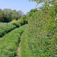 On your right you are passing the Southwick Estate land with views of the South Downs in the distance