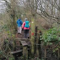 Cross the stile and enter the woods. Keep to which ever footpath seems to be "straight ahead".