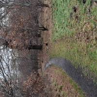 You're heading through The Grand Avenue, a double line of trees that connected  Hamilton Palace to Chatelherault.