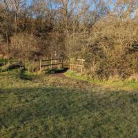 Cross the wooden bridge and turn right followed by an immediate left up to Yardley hill