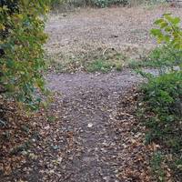 When you reach the end, turn left onto the path you meet.