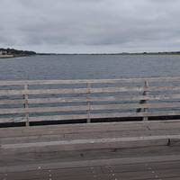 North Bull Island is home to many wading and sea birds - the channel is dry at low tide and a few feet deep at high tide.