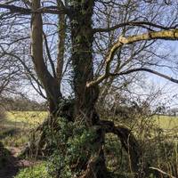 Beautiful easy walk - start at the footpath, hit the map pin icon to find it.