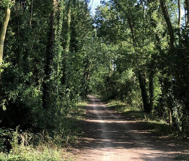 Preview of Marriott’s Way Complete Route