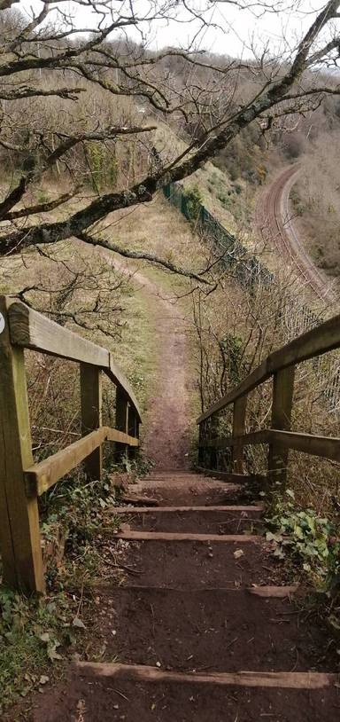 Preview of Shirehampton & Sea Mills