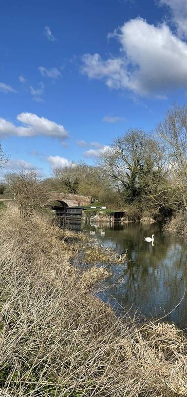 Preview of Beeleigh Falls Bimble