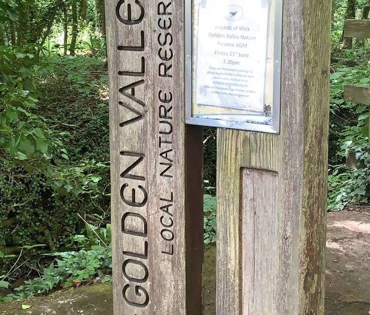 Preview of Golden valley nature reserve