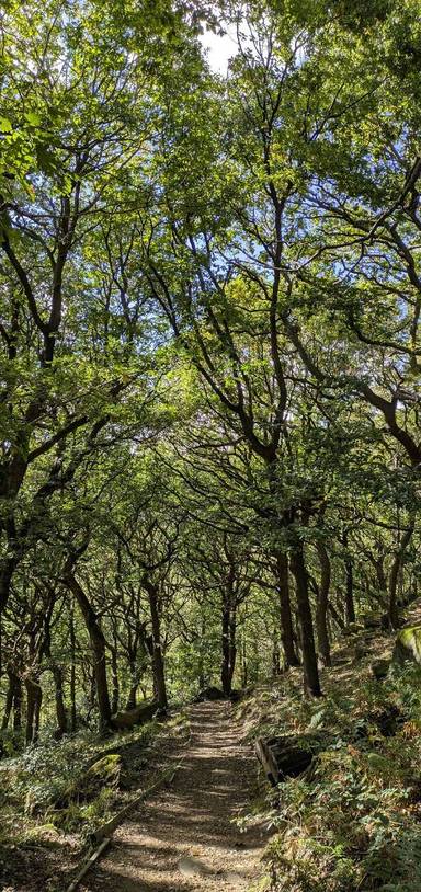 Preview of Bracken Hall to Hirst Wood
