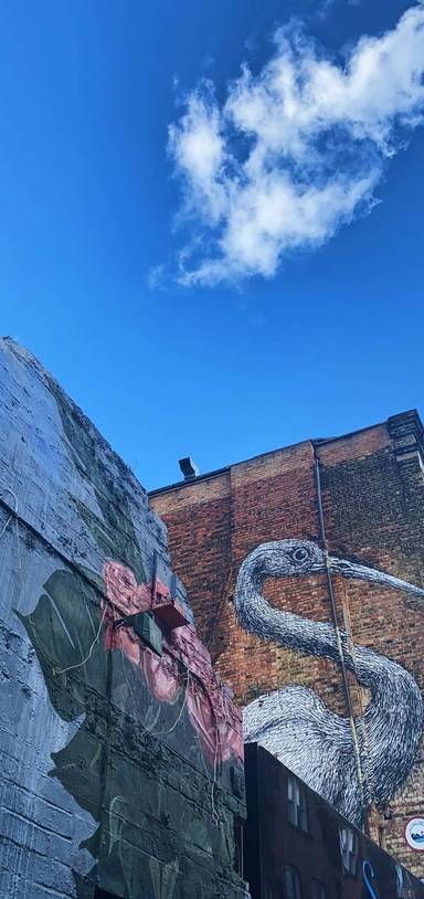 Preview of Moments of Joy in Liverpool Street