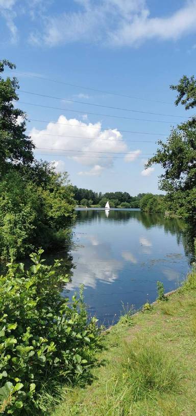 Preview of GM Ringway Stage 19