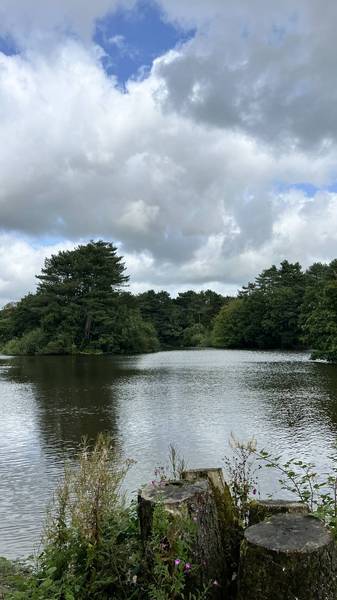 Preview of Nature Dose at Cuerden Valley Park