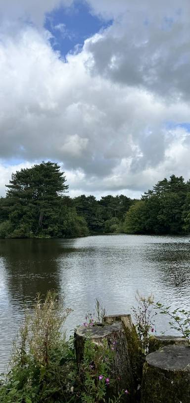 Preview of Nature Dose at Cuerden Valley Park