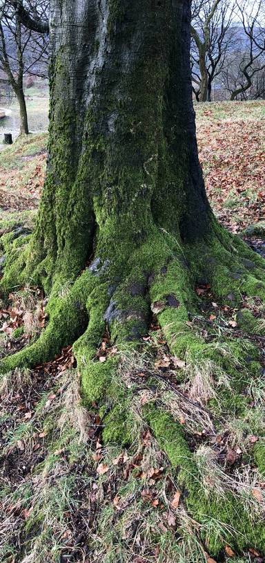 Preview of Jacks Key Reservoir