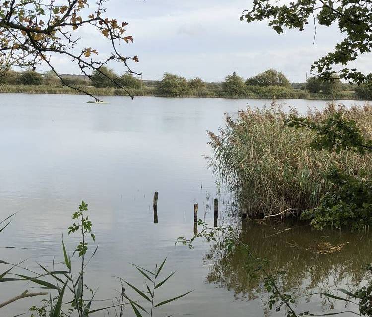 Preview of Humber Bridge & Far Ings Reserve