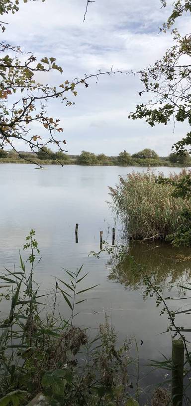 Preview of Humber Bridge & Far Ings Reserve