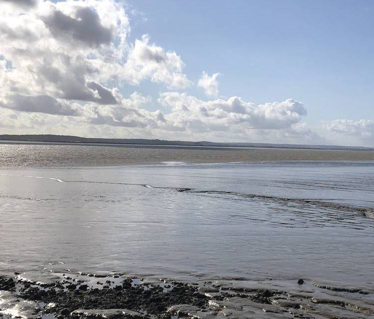 Preview of Canvey Seafront step-free route