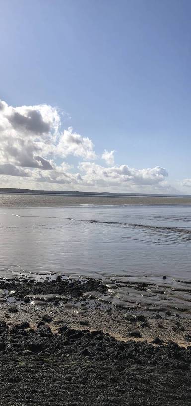 Preview of Canvey Seafront step-free route