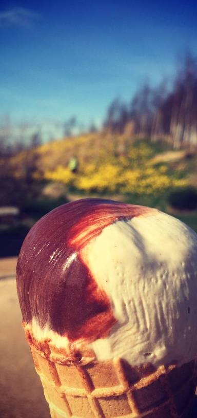 Preview of Architecture and wild flowers