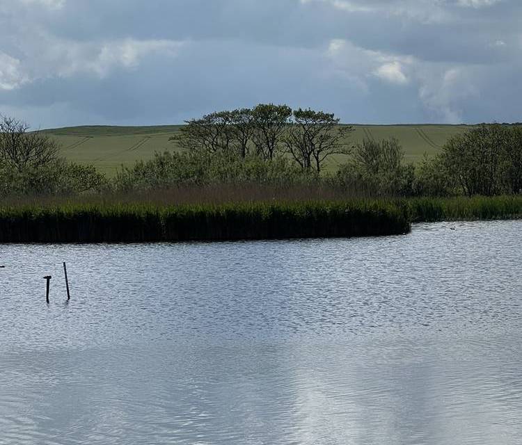 Preview of Low Newton to Bird Hide - Step Free