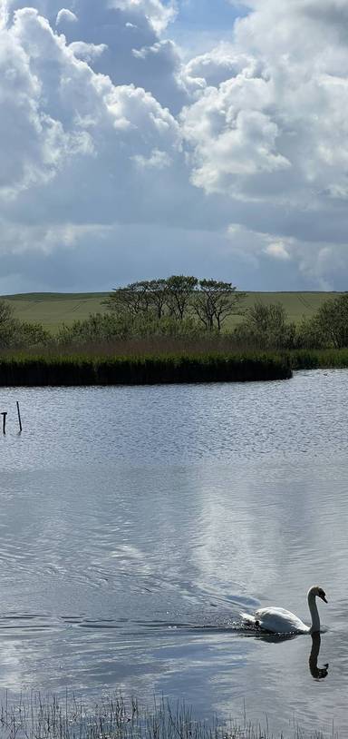 Preview of Low Newton to Bird Hide - Step Free