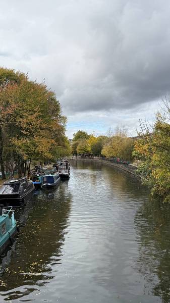 Preview of Paddington Nature Pilgrimage- short