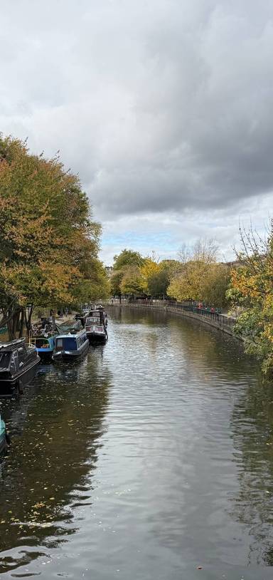 Preview of Paddington Nature Pilgrimage- short