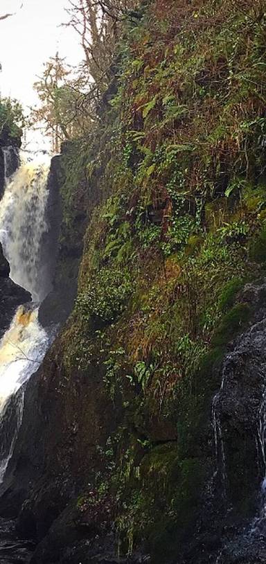 Preview of Glenariff Forest Park