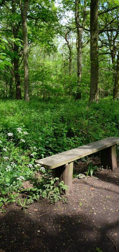 Preview of The Orbital at High Woods