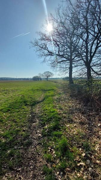 Preview of Brewer's Arms circular route