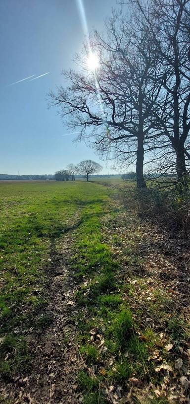 Preview of Brewer's Arms circular route