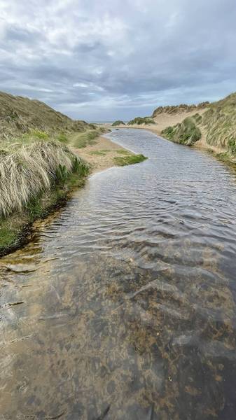 Preview of Traeth, y Llyn a Thwyni Rhosneigr