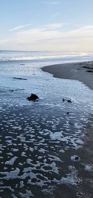 Preview of Lake & Sea at Druridge