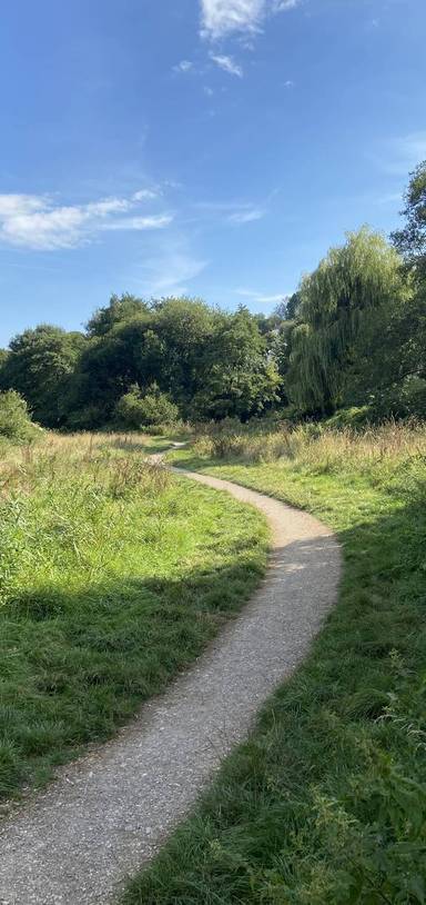 Preview of Mincinglake Circular