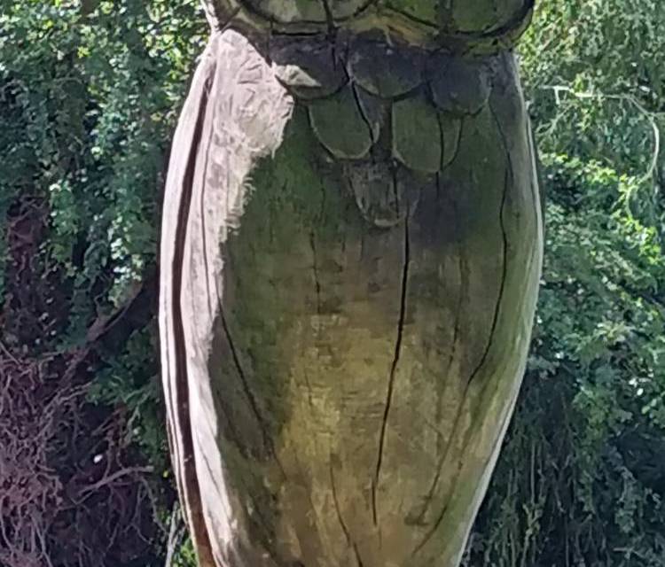 Preview of Kneller Gardens Sensory Trail