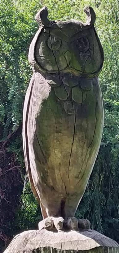 Preview of Kneller Gardens Sensory Trail