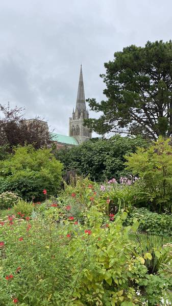 Preview of History & Nature in Chichester 