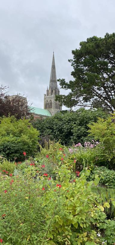 Preview of History & Nature in Chichester 